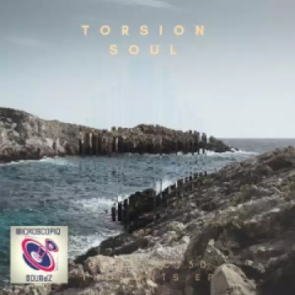Torsion Soul - Talking to My Soul (Dub Version)
